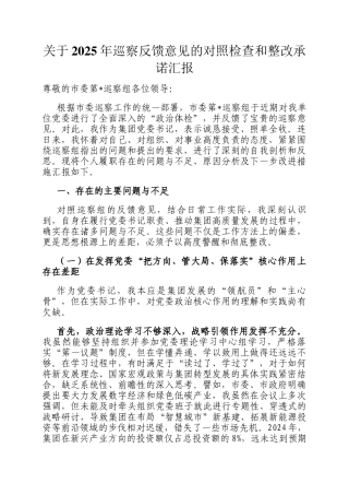 关于2025年巡察反馈意见的对照检查和整改承诺汇报