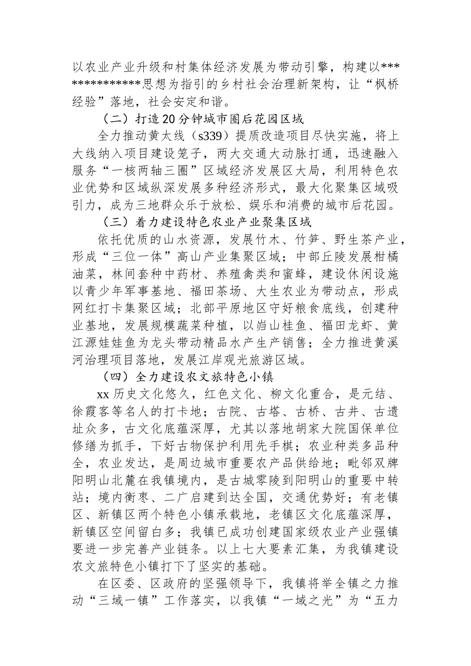 XX镇2025年工作总结和“十五五”及2026年工作谋划_第3页