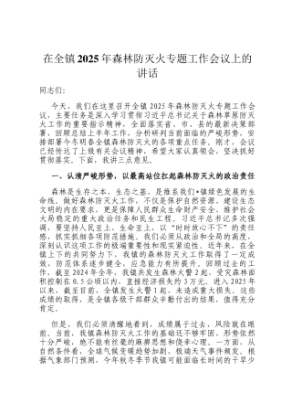 在全镇2025年森林防灭火专题工作会议上的讲话