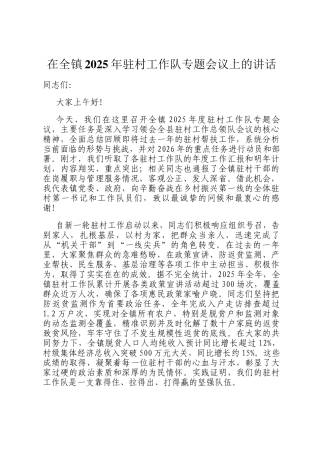 在全镇2025年驻村工作队专题会议上的讲话