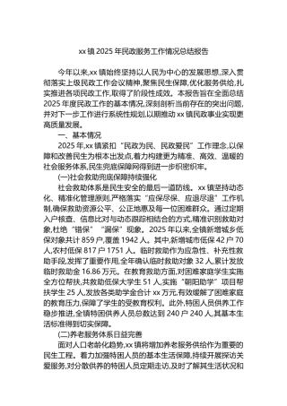 XX镇2025年民政服务工作情况总结报告