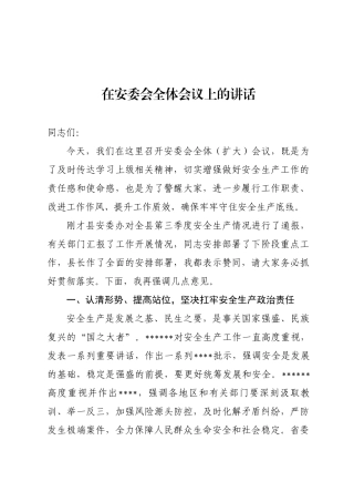 安委会上的讲话