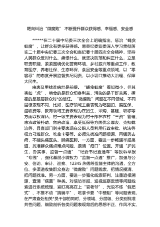 靶向纠治“微腐败”，不断提升群众获得感、幸福感、安全感