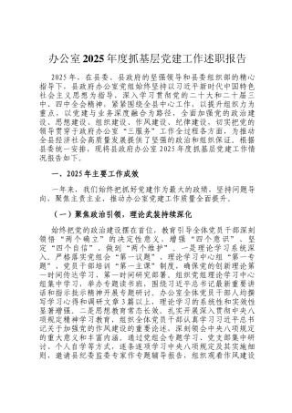 办公室2025年度抓基层党建工作述职报告