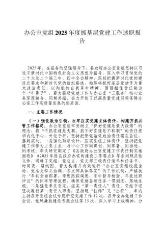 办公室党组2025年度抓基层党建工作述职报告
