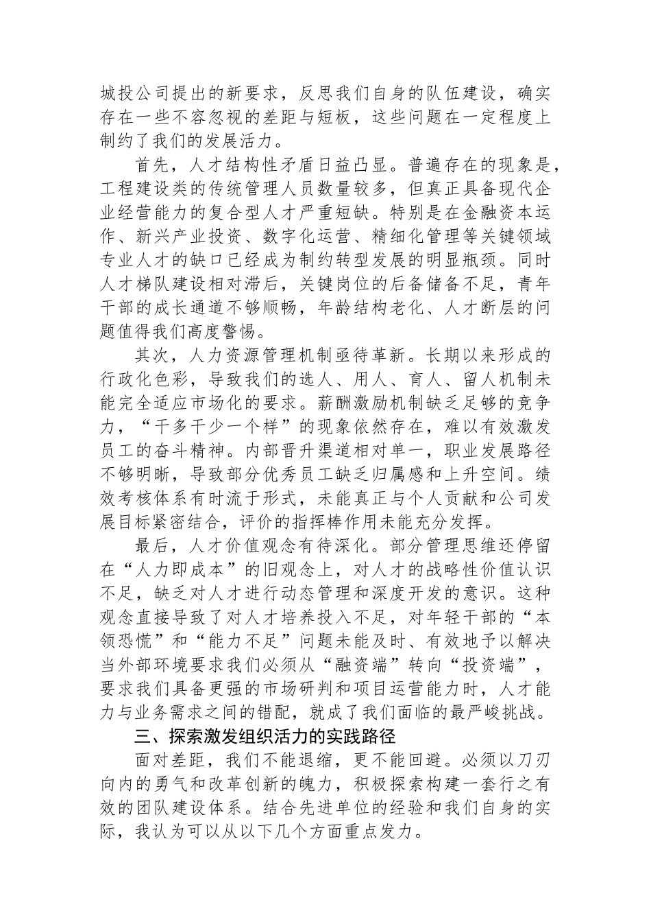 城投公司副总经理研讨发言材料_第2页