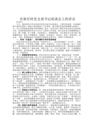 在新任村党支部书记座谈会上的讲话