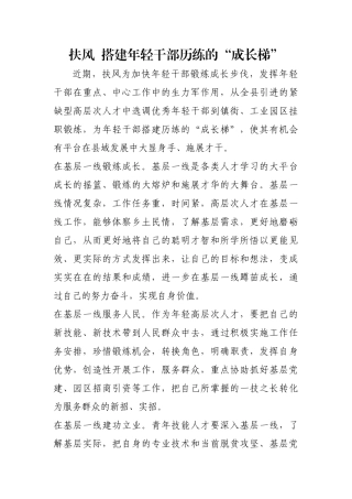 扶风  搭建年轻干部历练的“成长梯”【更多材料关注抖音：资深秘书】