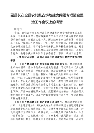 副县长在全县农村乱占耕地建房问题专项清查整治工作会议上的讲话【更多材料关注抖音：资深秘书】