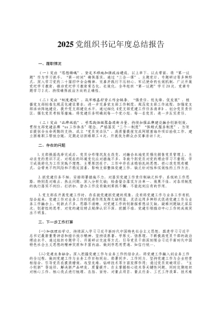 2025党组织书记年度总结报告