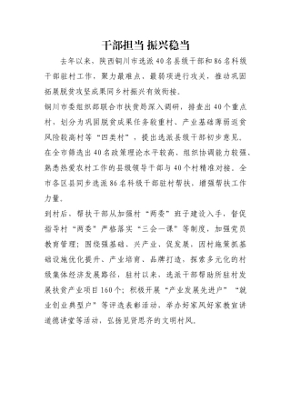 干部担当 振兴稳当【更多材料关注抖音：资深秘书】