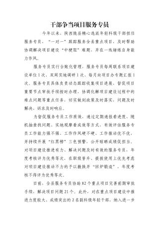 干部争当项目服务专员【更多材料关注抖音：资深秘书】