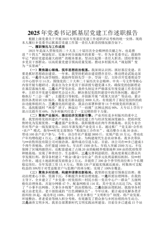 2025年党委书记抓基层党建工作述职报告