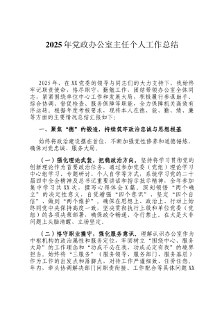 2025年党政办公室主任个人工作总结
