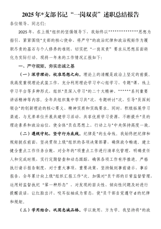 2025年党支部书记“一岗双责”述职总结报告