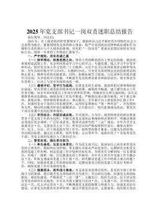 2025年党支部书记一岗双责述职总结报告