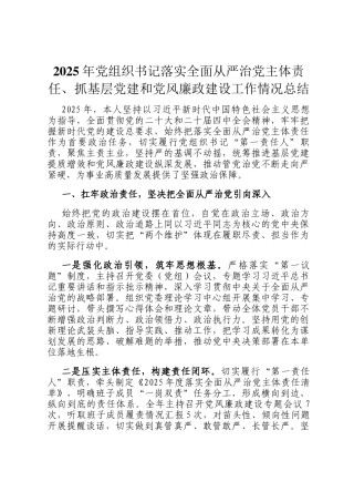 2025年党组织书记落实全面从严治党主体责任、抓基层党建和党风廉政建设工作情况总结