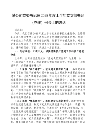 公司党委书记在2025年度上半年党支部书记（党建）例会上的讲话【更多材料关注抖音：资深秘书】