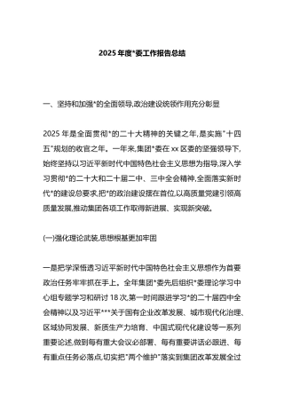 2025年度党委工作报告总结