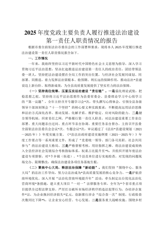 2025年度党政主要负责人履行推进法治建设第一责任人职责情况的报告