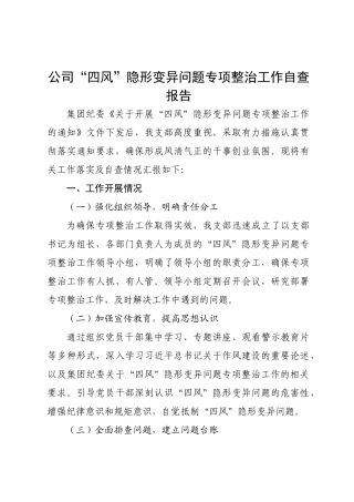 国企“四风”隐形变异问题专项整治工作自查总结报告【更多材料关注抖音：资深秘书】