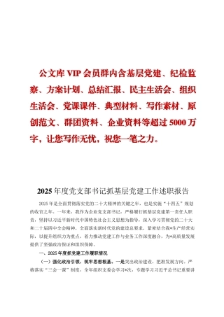2025年度党支部书记抓基层党建工作述职报告DING