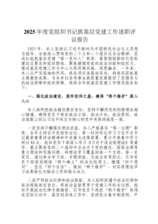 2025年度党组织书记抓基层党建工作述职评议报告