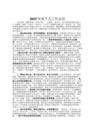 2025年度个人工作总结