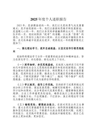 2025年度个人述职报告