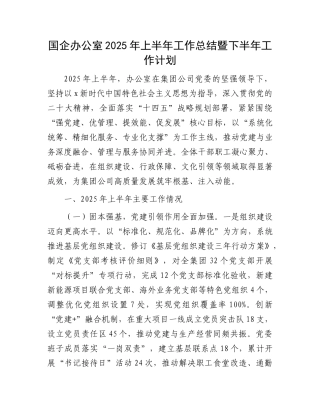 国企公司办公室2025年上半年工作总结暨下半年工作计划【更多材料关注抖音：资深秘书】