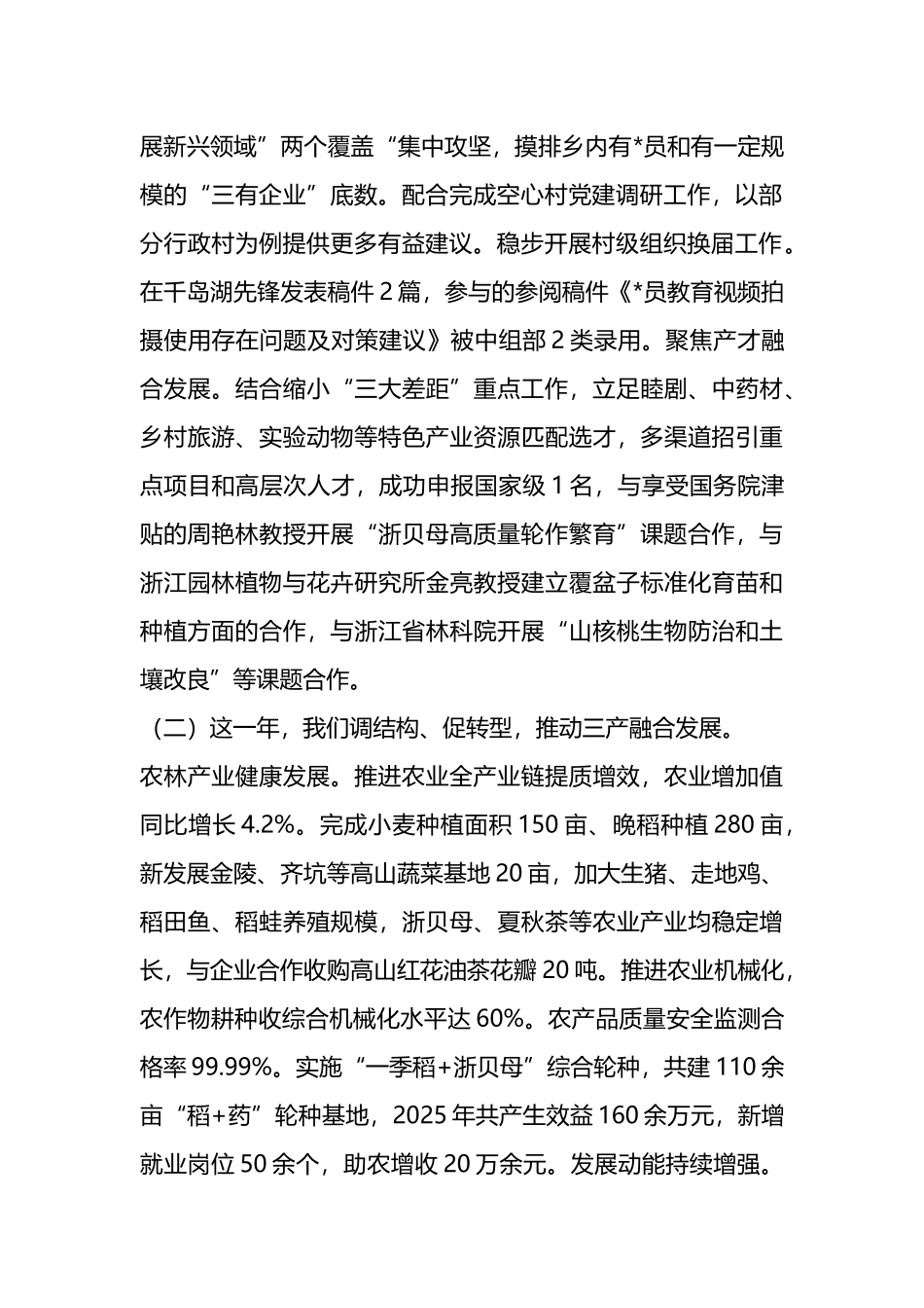 2025年度工作总结及2026年度工作计划_第2页