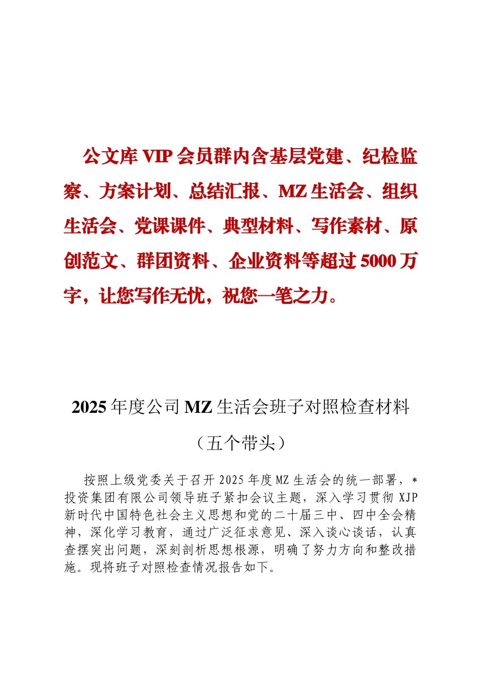 2025年度公司MZ生活会班子对照检查材料（五个带头）_第1页