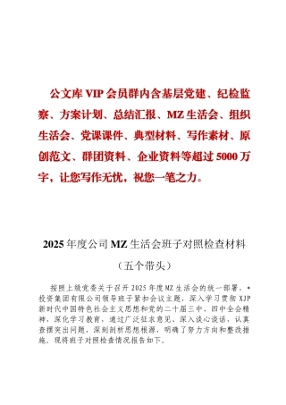 2025年度公司MZ生活会班子对照检查材料（五个带头）