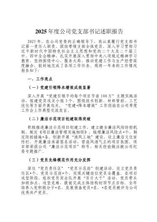 2025年度公司党支部书记述职报告