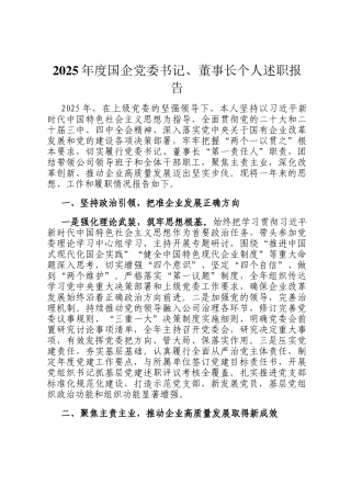 2025年度国企党委书记、董事长个人述职报告