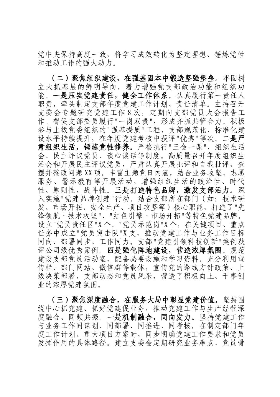 2025年度基层党支部书记抓基层党建工作述职报告_第2页