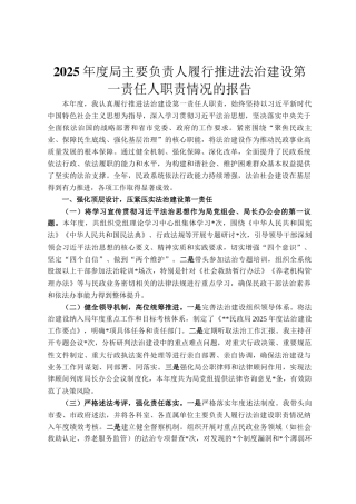 2025年度局主要负责人履行推进法治建设第一责任人职责情况的报告