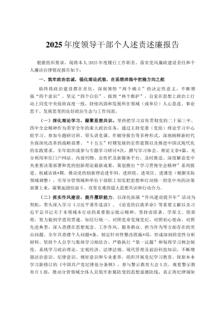 2025年度领导干部个人述责述廉报告