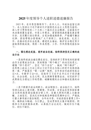 2025年度领导个人述职述德述廉报告