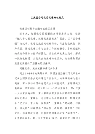 集团公司党委党建特色亮点【更多材料关注抖音：资深秘书】