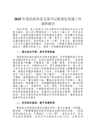 2025年度民政局党支部书记抓基层党建工作述职报告