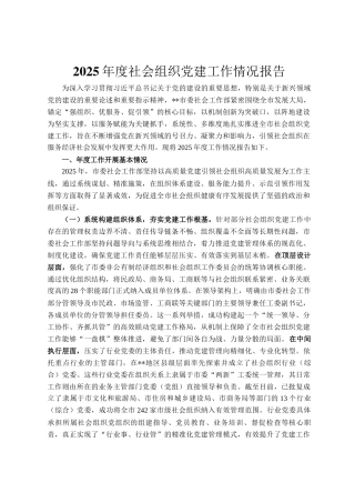2025年度社会组织党建工作情况报告