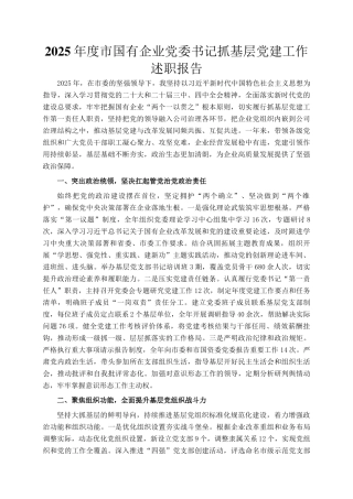 2025年度市国有企业党委书记抓基层党建工作述职报告