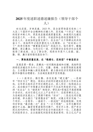 2025年度述职述德述廉报告（领导干部个人）