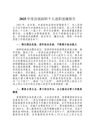 2025年度县级副职个人述职述廉报告