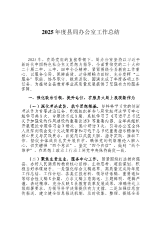 2025年度县局办公室工作总结