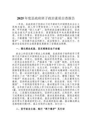 2025年度县政府班子政治素质自查报告