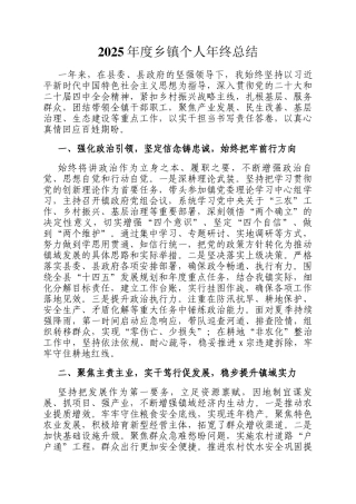 2025年度乡镇个人年终总结