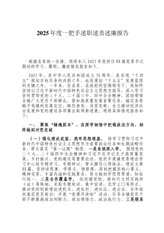 2025年度一把手述职述责述廉报告