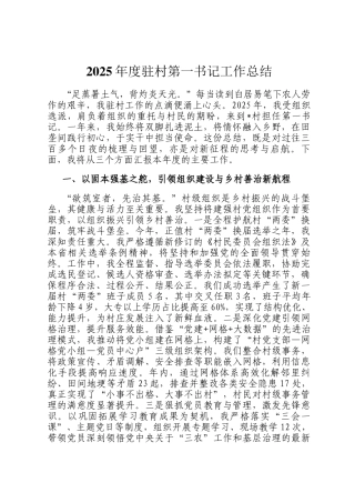 2025年度驻村第一书记工作总结
